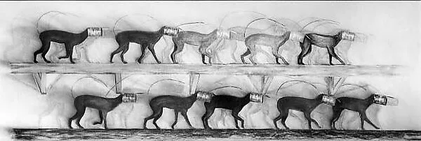 Study for "Five Motions in a Dead Run" — Craig Langager