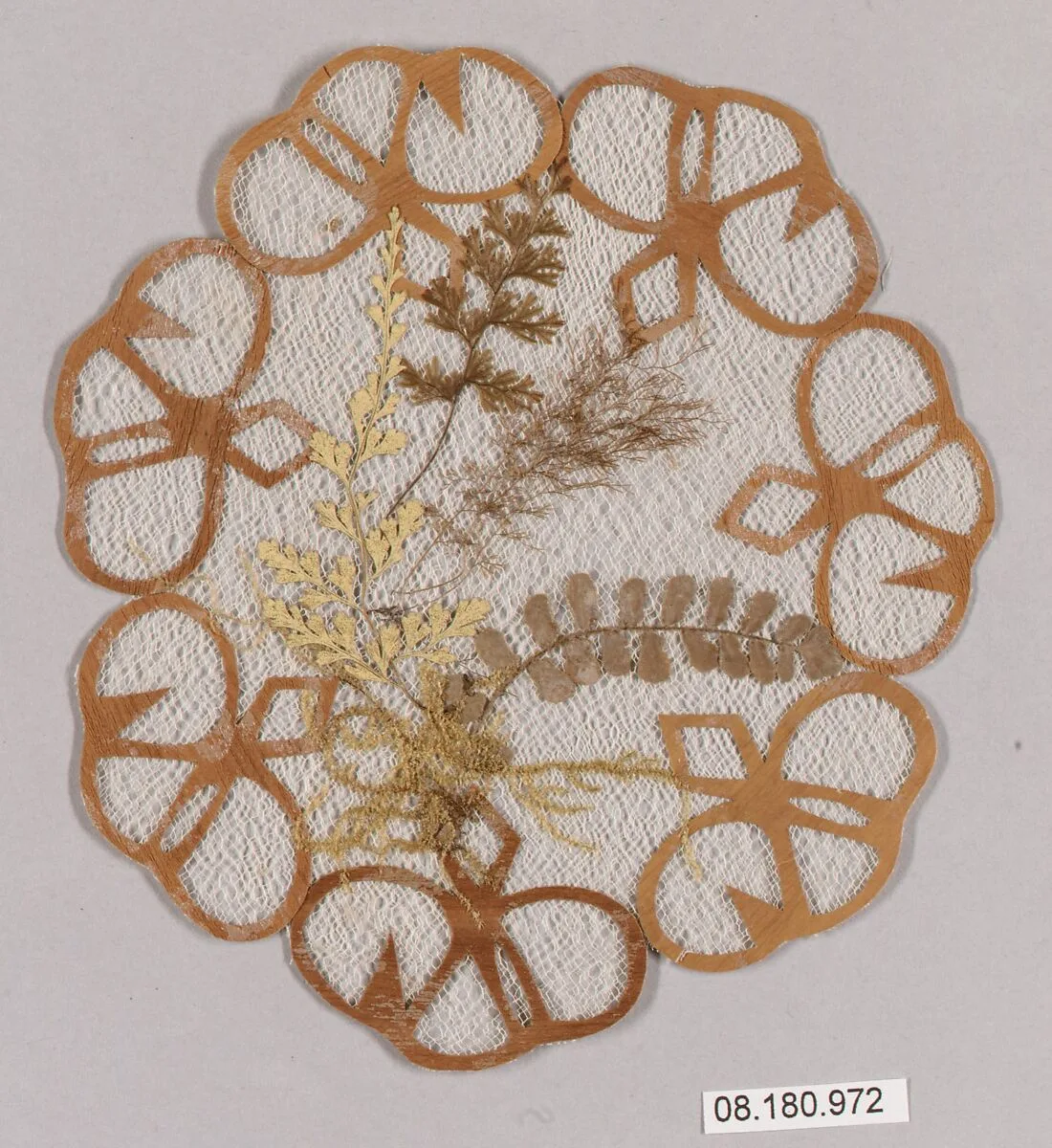 Doily — Unknown