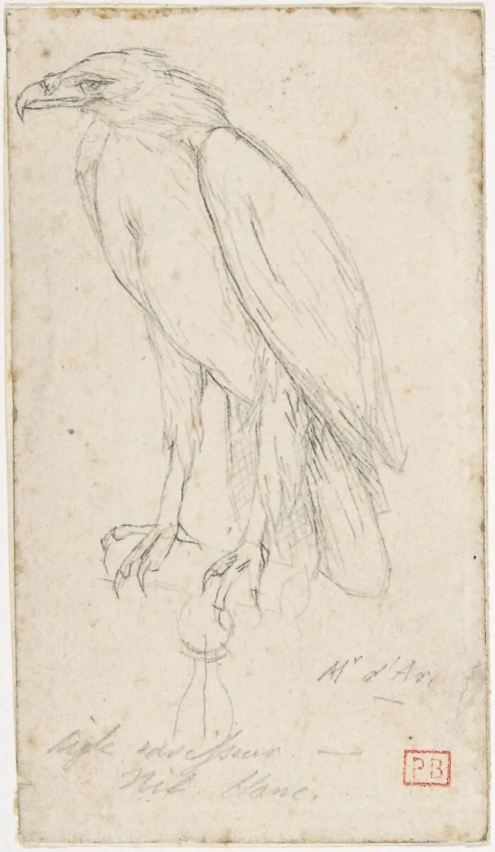 A Golden Eagle — Charles Meryon
