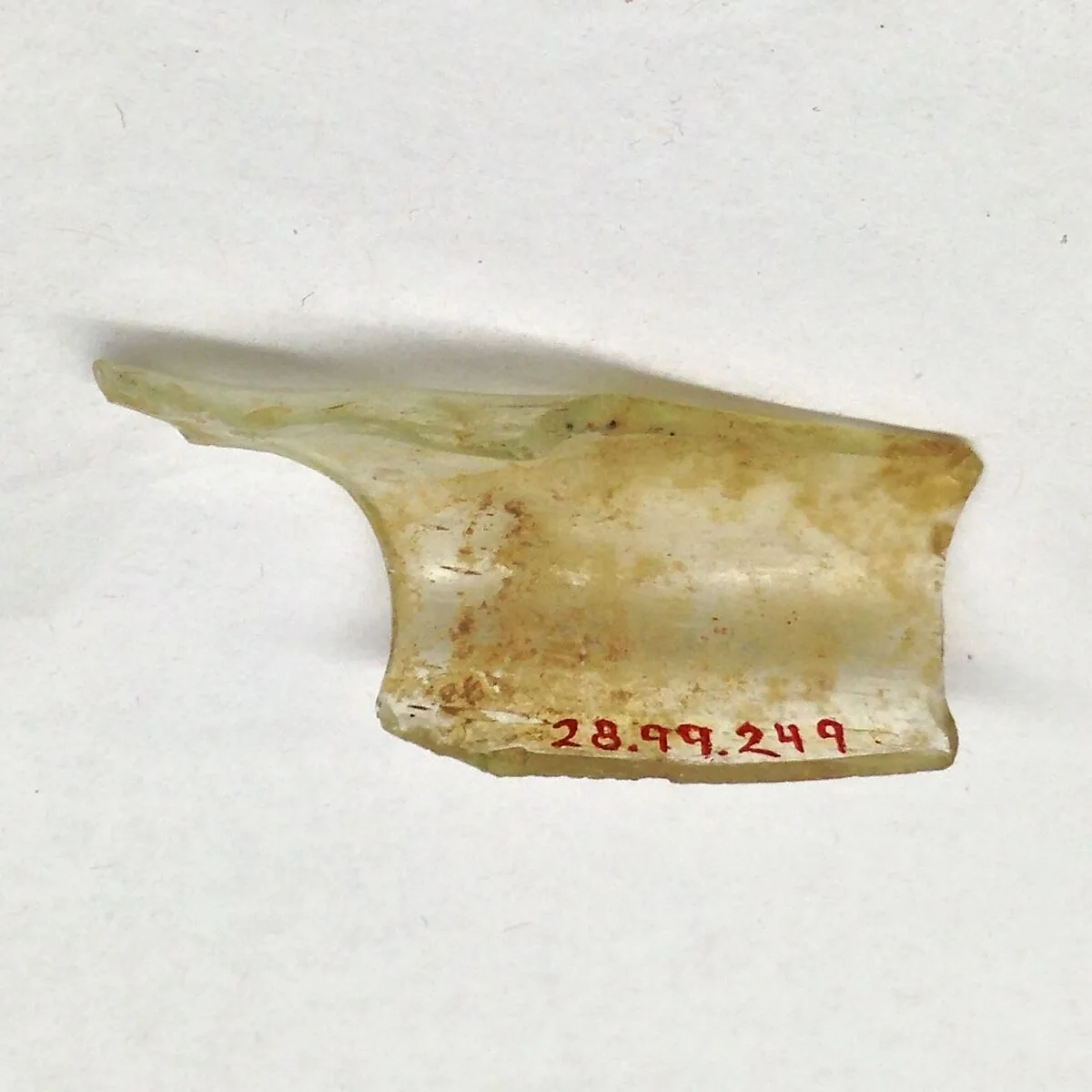 Fragment — Unknown