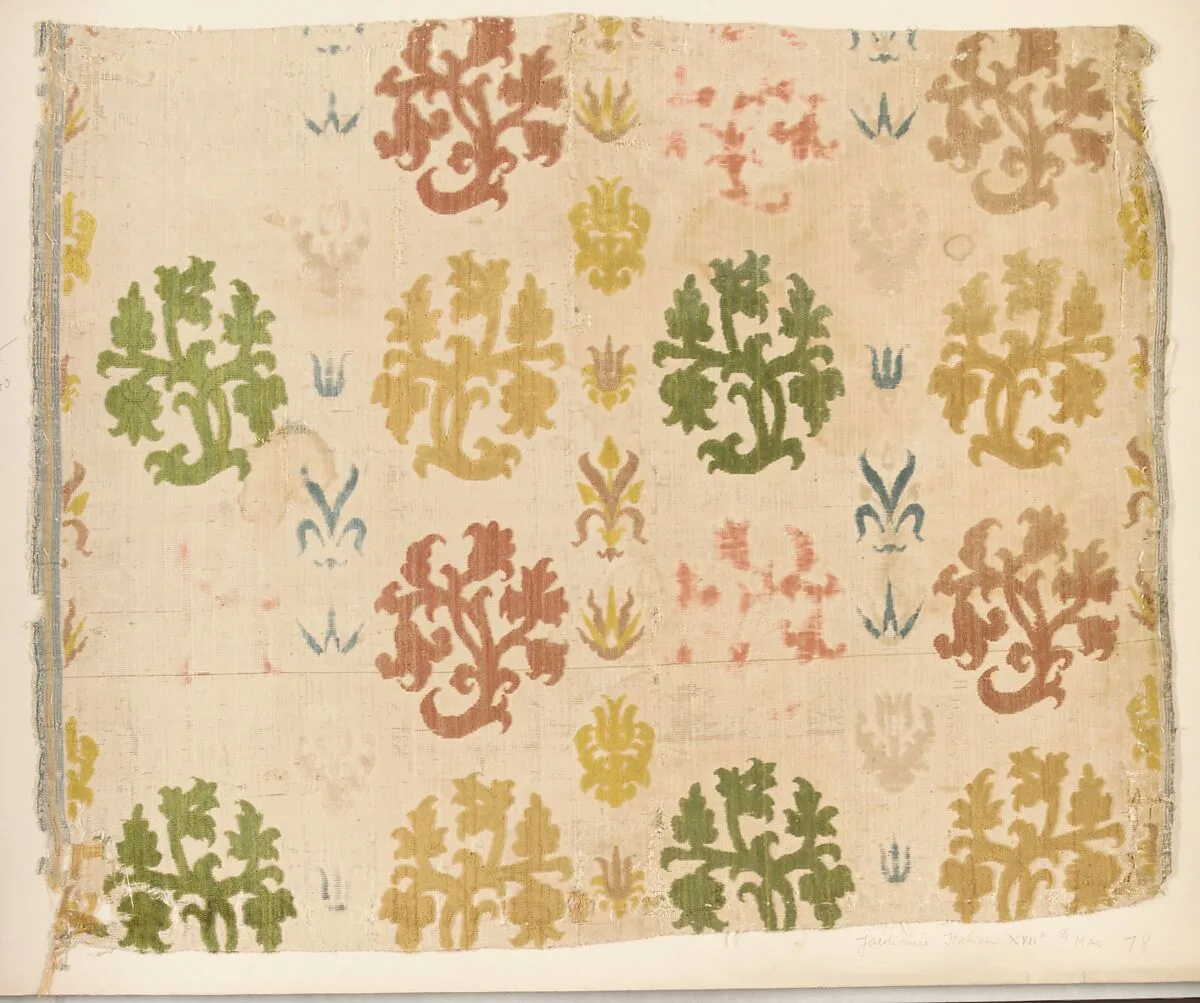 Fragment — Unknown