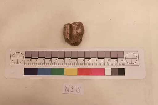 Stucco Fragment