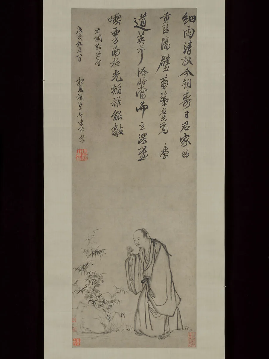 清 佚名 仿張風 摘菊圖 軸|Plucking Chrysanthemums — Zhang Feng