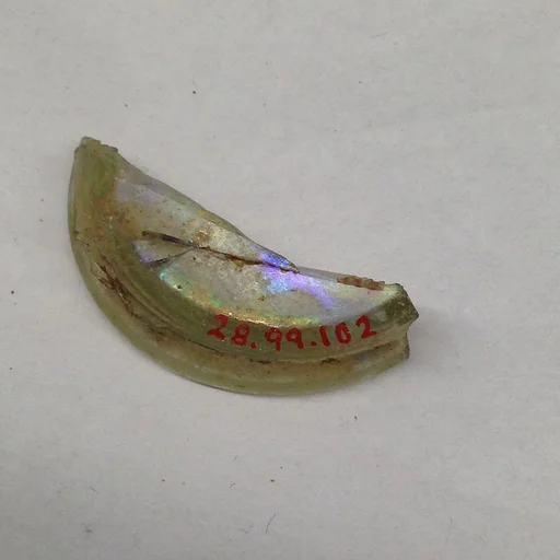 Fragment