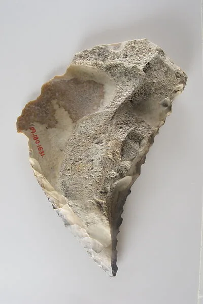 Sickle Insert — Unknown