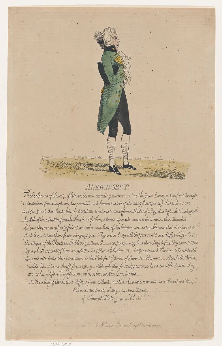 A New Insect — Thomas Rowlandson|William Humphrey