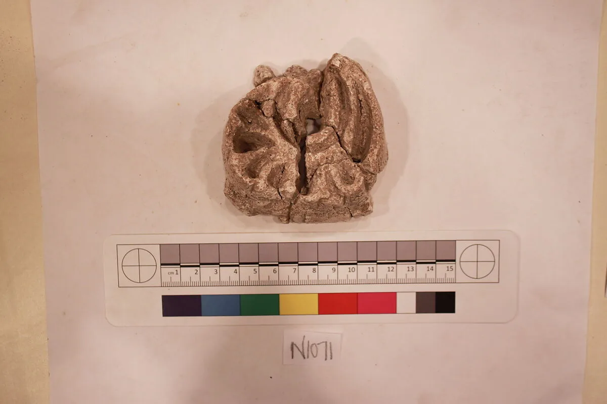 Stucco Fragment — Unknown