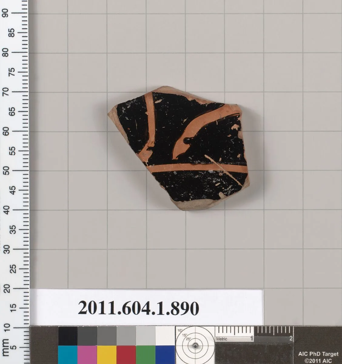 Terracotta fragment of a kylix (drinking cup) — Unknown