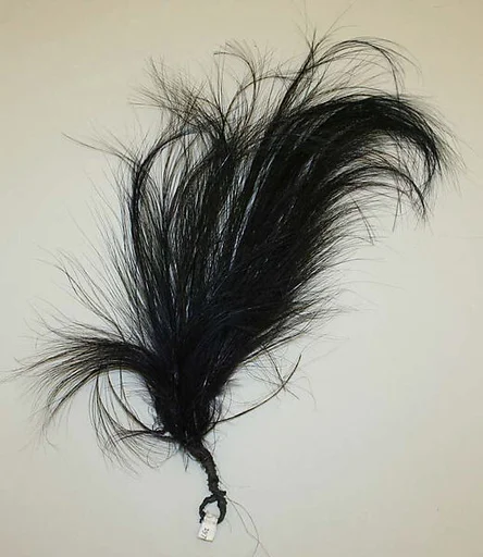 Aigrette