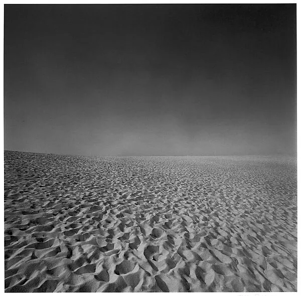 Cape Cod — Harry Callahan