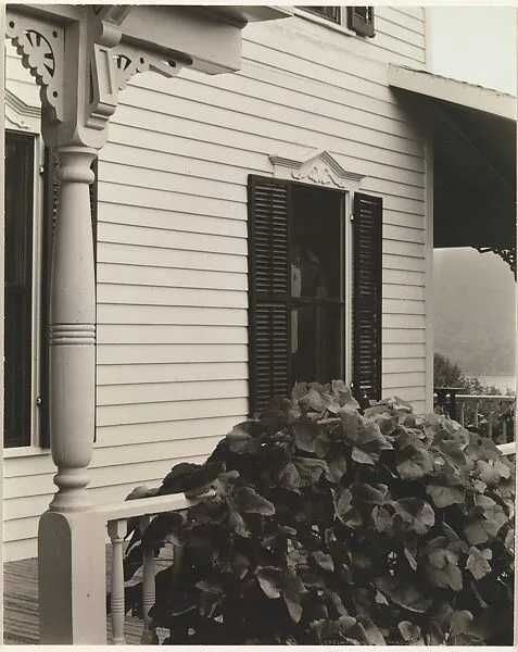 House and Grape Leaves — Alfred Stieglitz