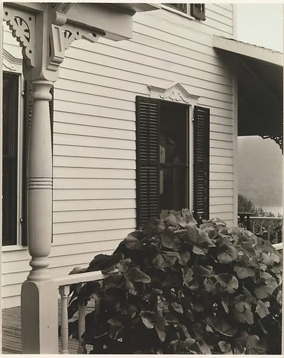 House and Grape Leaves