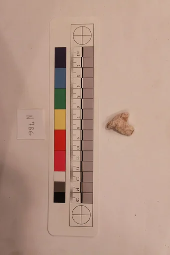 Stucco Fragment