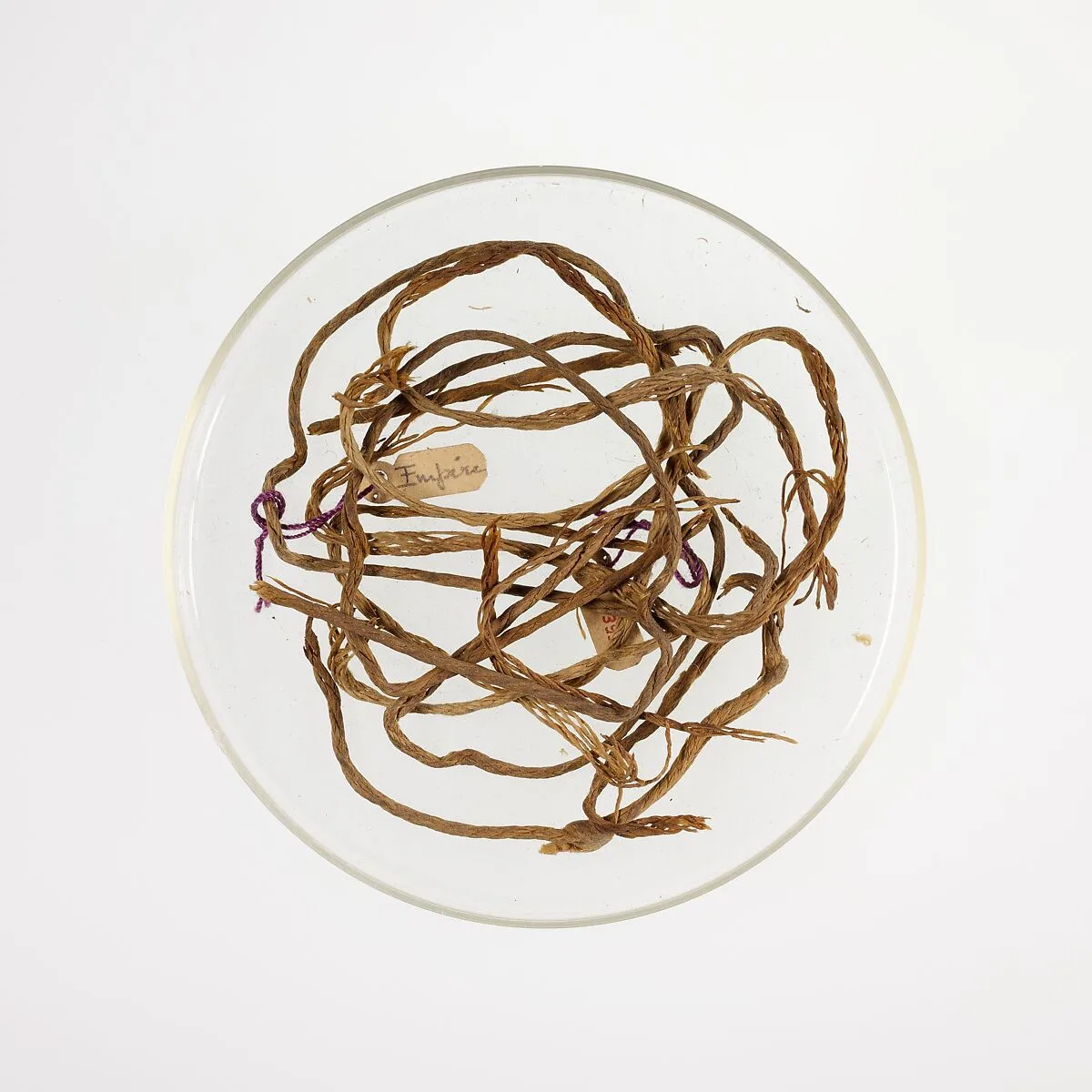 Strings used to bind papyrus — Unknown