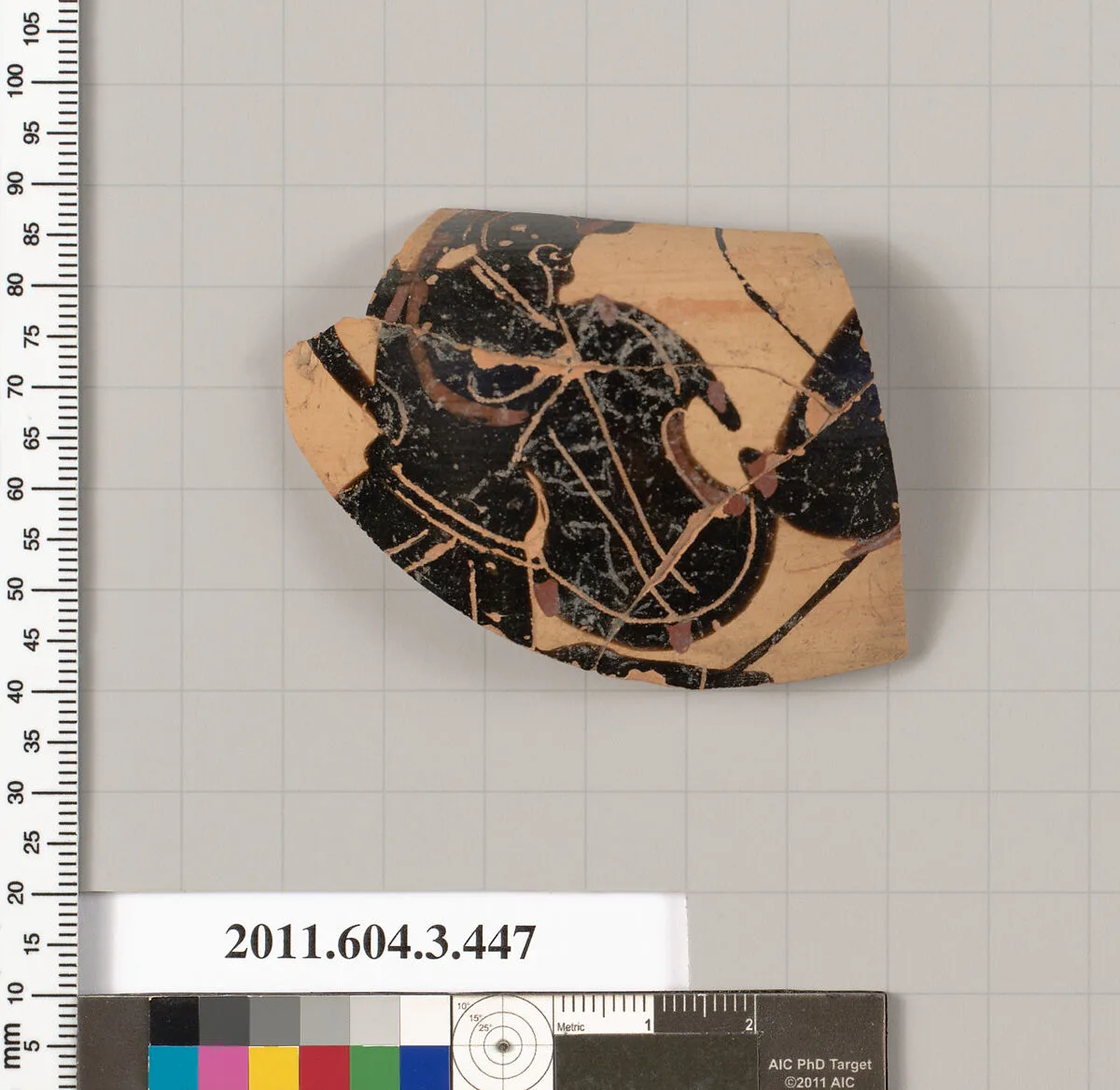 Terracotta fragment of a neck-amphora (jar) — Unknown