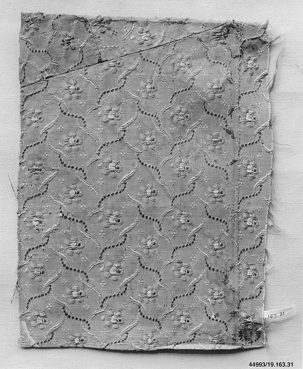 Fragment — Unknown