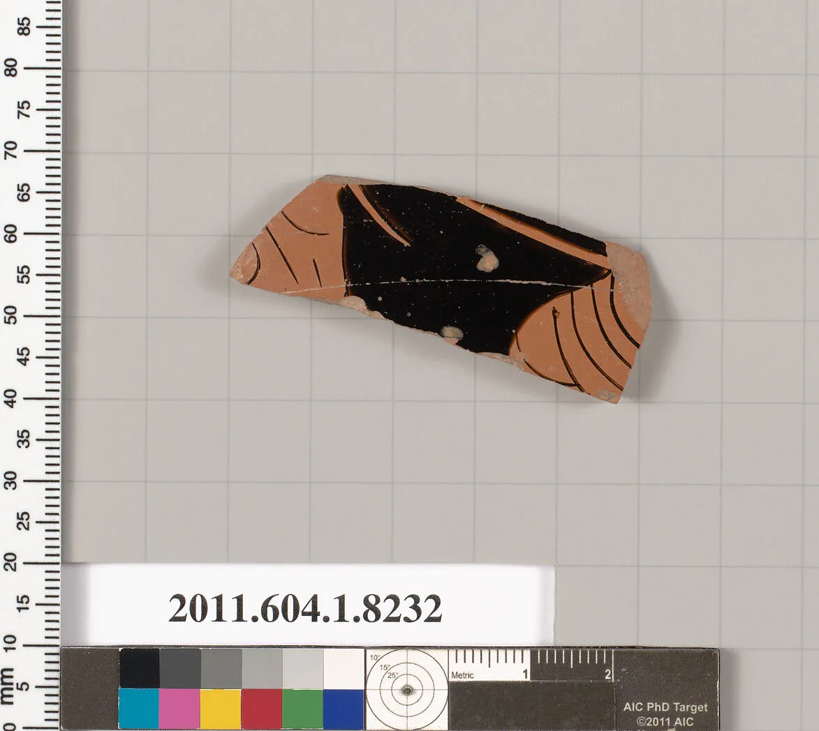 Terracotta fragment of a kylix (drinking cup) — Unknown