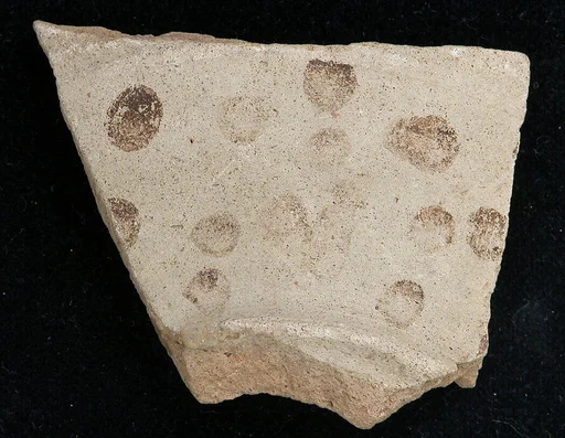 Fragment