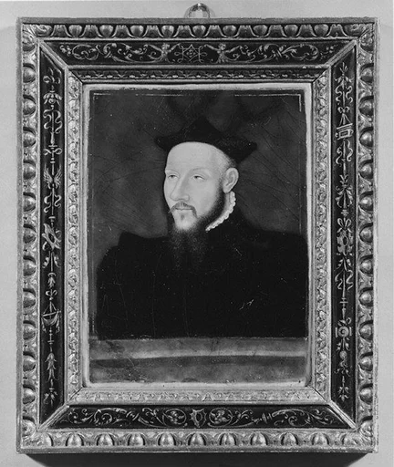 Portrait of an unidentified gentleman
