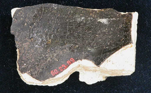 Fragment