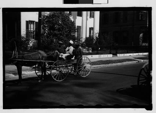 [Couple in Horse-Drawn Carriage on Street, Natchez, Mississippi]
