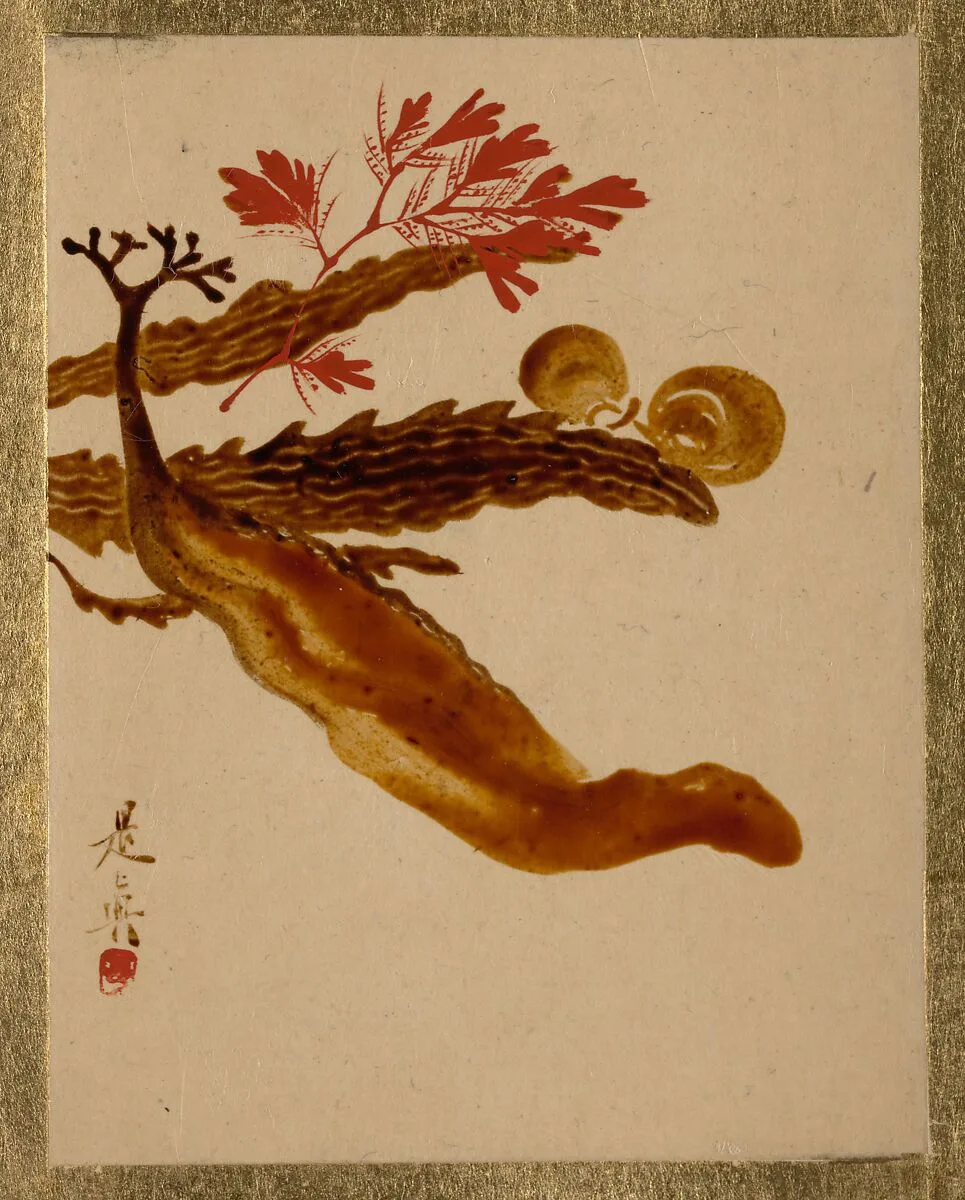 Untitled — Shibata Zeshin