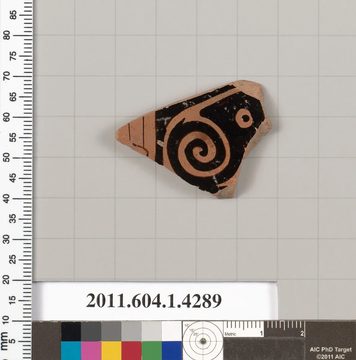 Terracotta fragment of a kylix (drinking cup) — Unknown