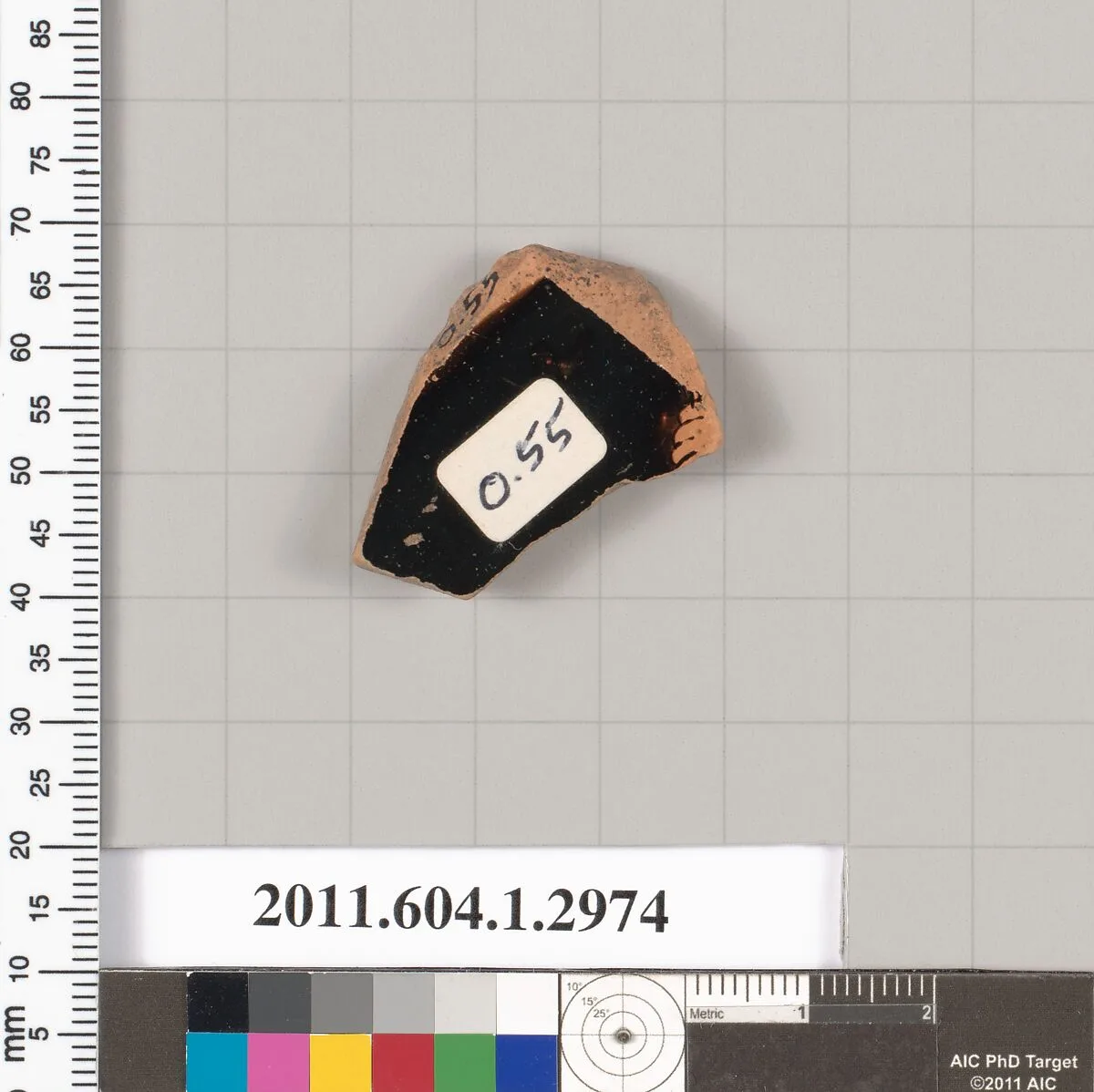Terracotta fragment of a kylix (drinking cup) — Unknown
