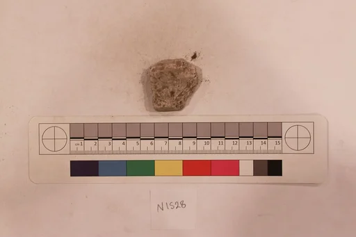 Stucco Fragment