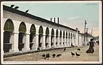 Central Market and the Buzzards. Charleston, S.C. — Unknown