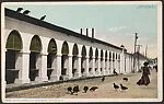 Central Market and the Buzzards.  Charleston, S.C.