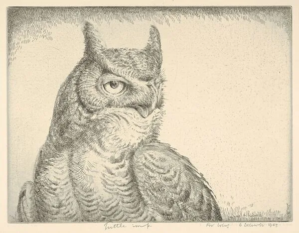 Horned Owl (Portrait Great Horned Owl) — Henry Emerson Tuttle
