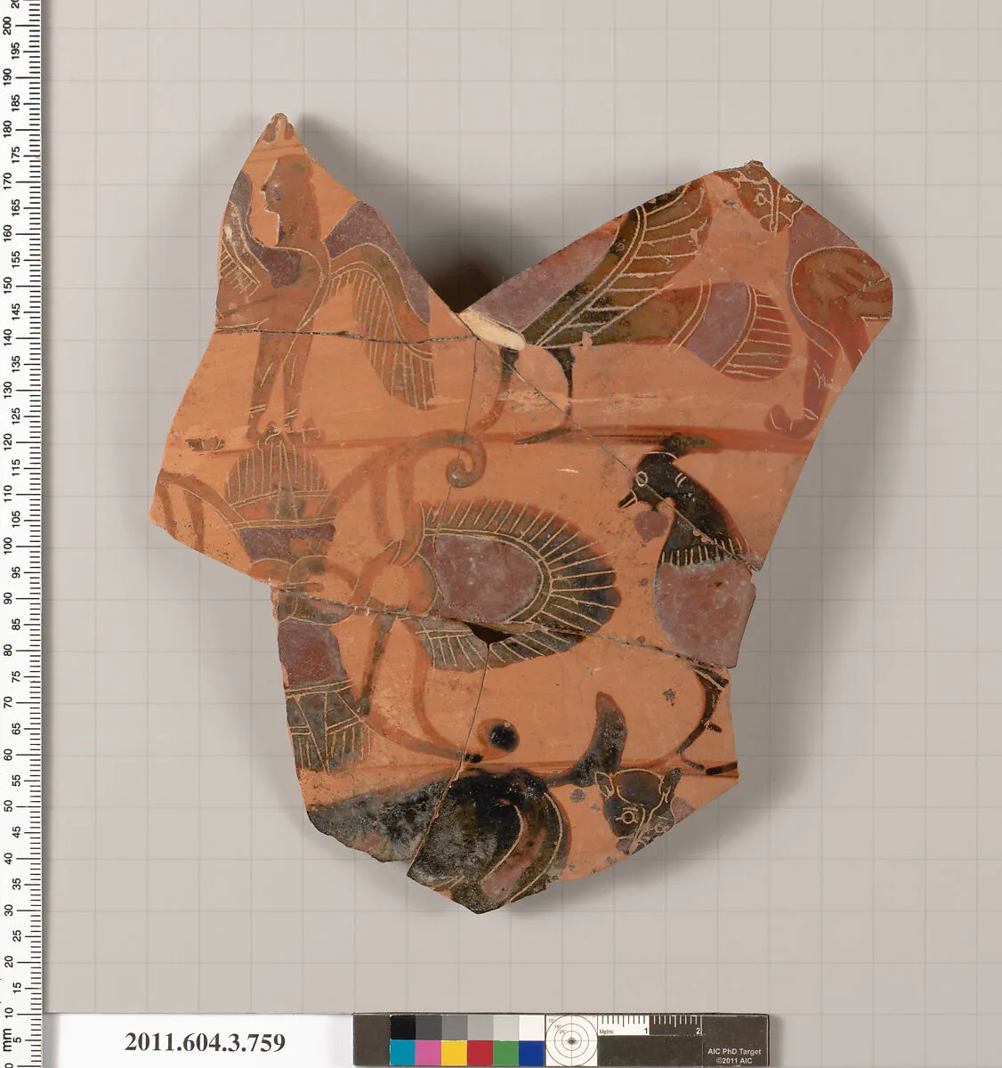 Terracotta fragment of a neck-amphora (jar) — Unknown