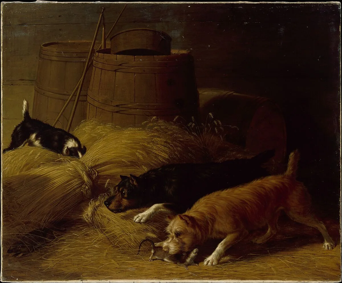 Rats amongst the Barley Sheaves — Thomas Hewes Hinckley