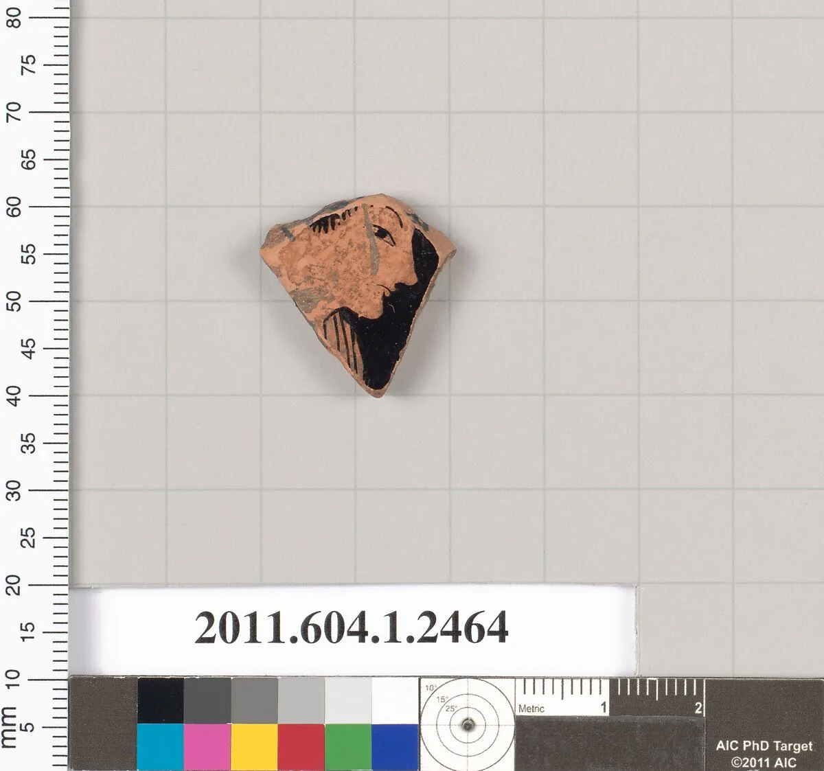 Terracotta fragment of a kylix (drinking cup) — Unknown