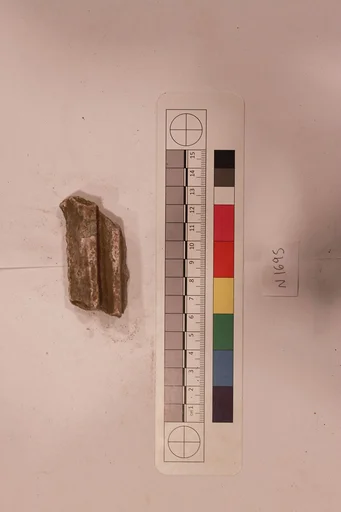 Stucco Fragment