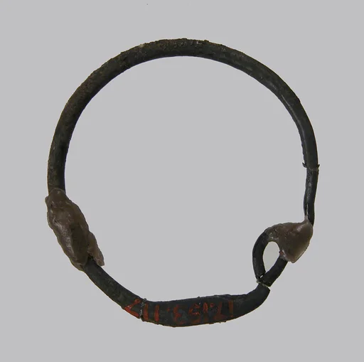 Earring