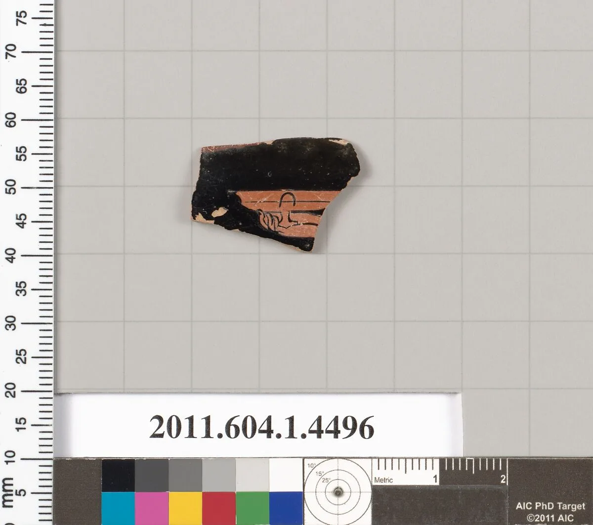 Terracotta fragment of a kylix (drinking cup) — Unknown