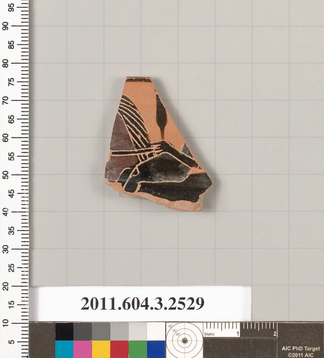 Terracotta rim fragment of a kylix: Siana cup (drinking cup) — Unknown