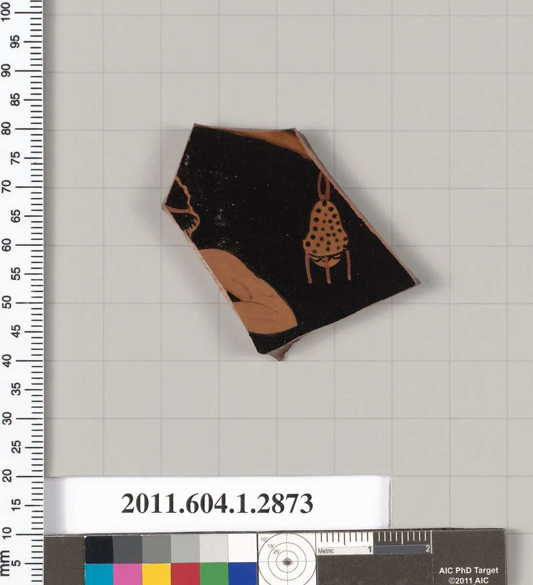 Terracotta fragment of a kylix (drinking cup) — Unknown