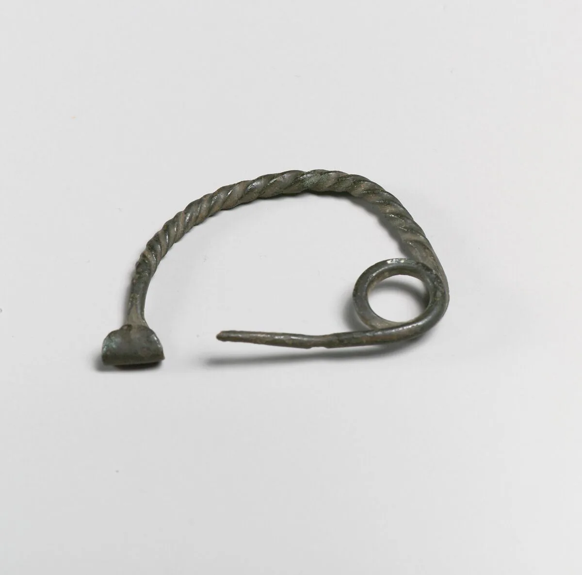 Fibula, semi-circular type — Unknown