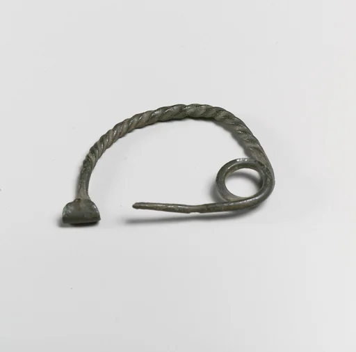 Fibula, semi-circular type