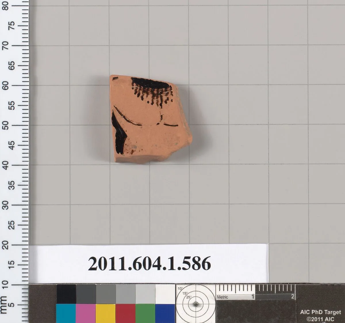 Terracotta fragment of a kylix (drinking cup) — Unknown