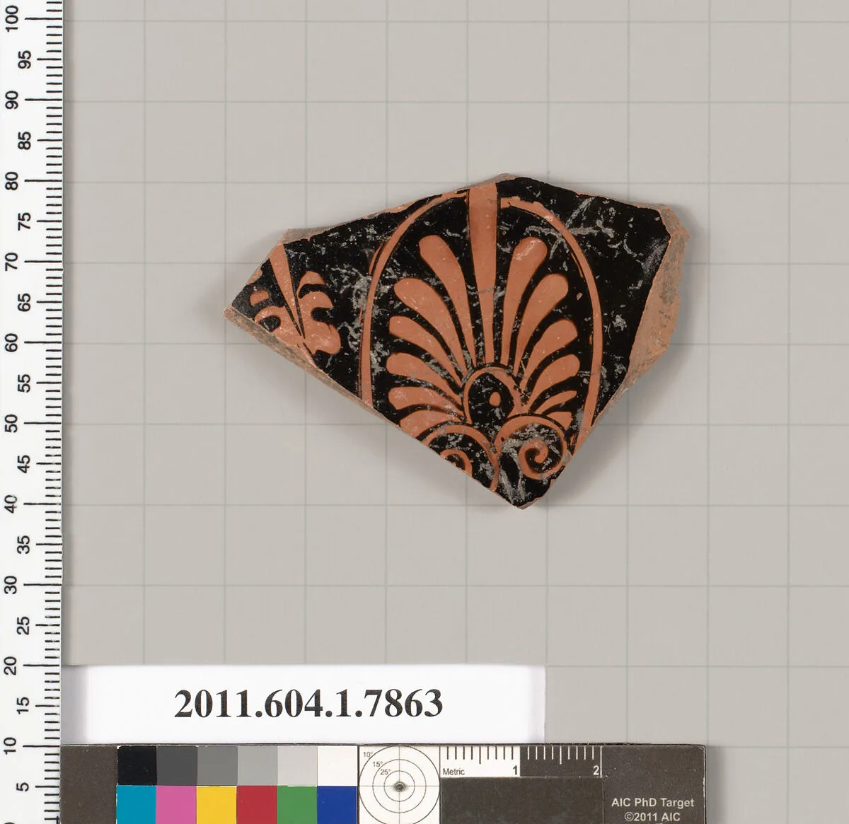 Terracotta fragment of a kylix (drinking cup) — Unknown