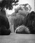 Landscape — William Clutz