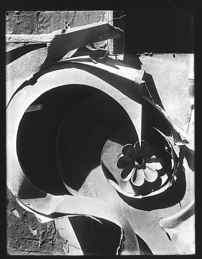 [Tin Relic with Rosette Motif, Photographed on Roof of 92 Fifth Avenue, New York City]