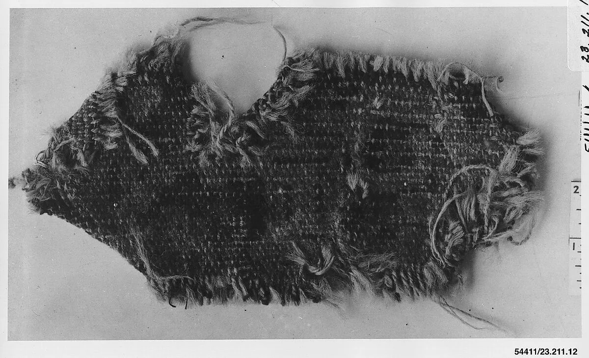 Rug fragment — Unknown