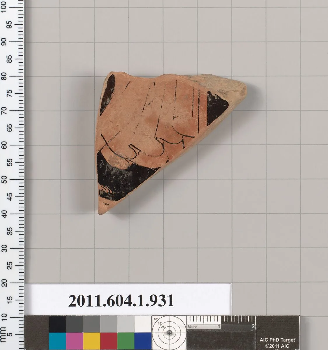 Terracotta fragment of a kylix (drinking cup) — Unknown