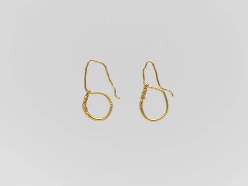 Gold earring with ring and hook
