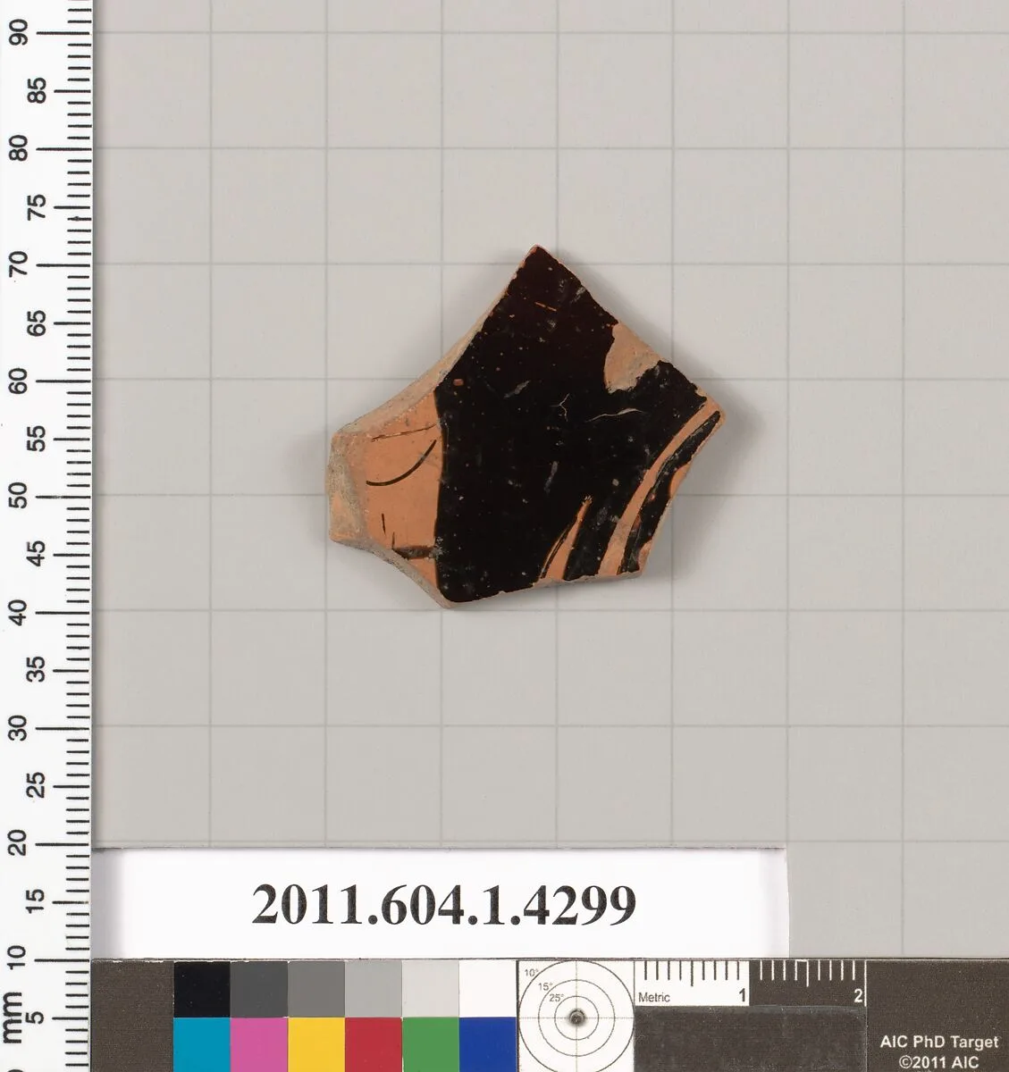 Terracotta fragment of a kylix (drinking cup) — Unknown